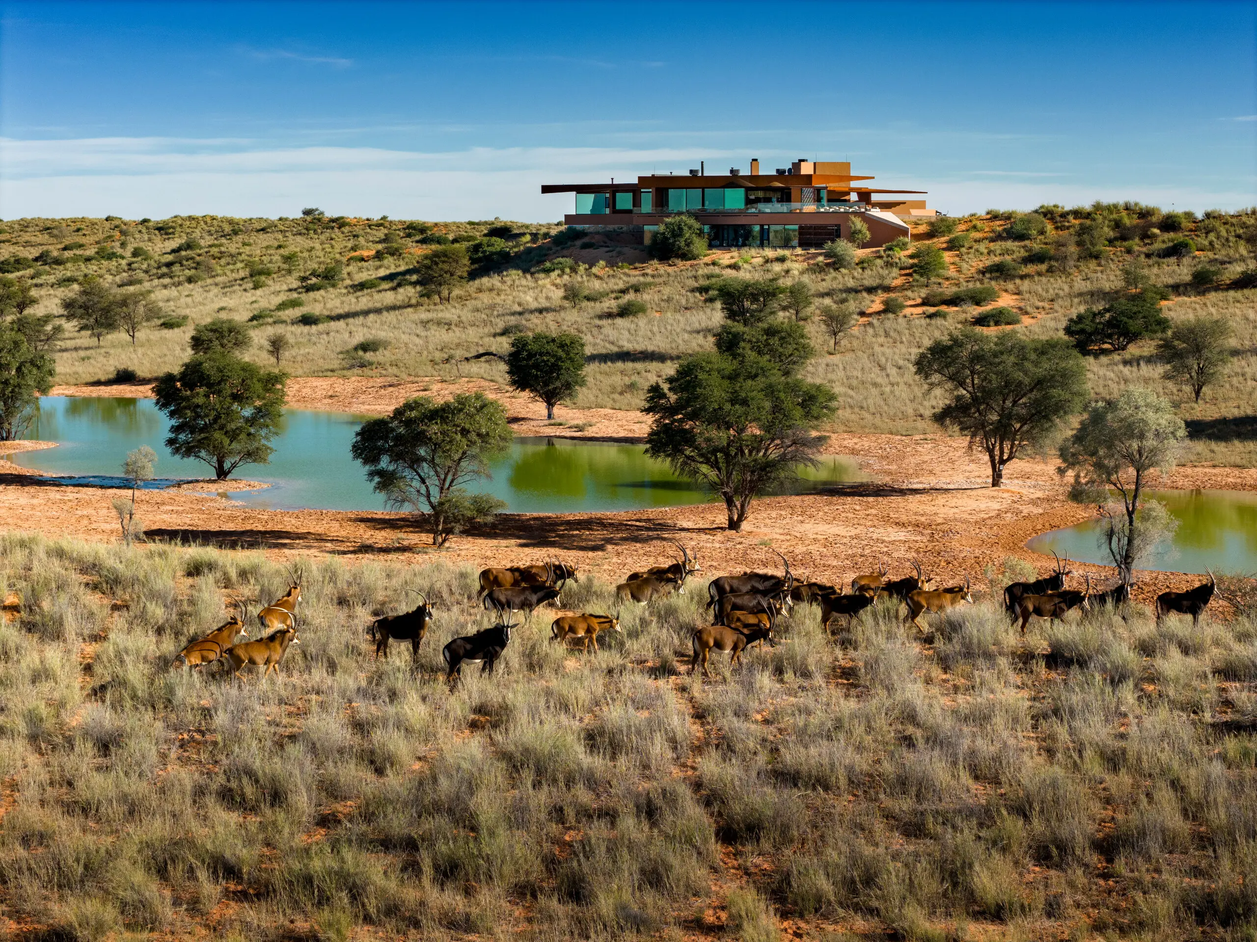 Kalahari Dunes — 3
